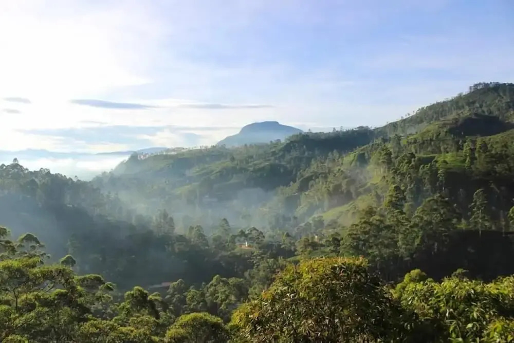 Punsisi Resort - Delhousie Adamspeak