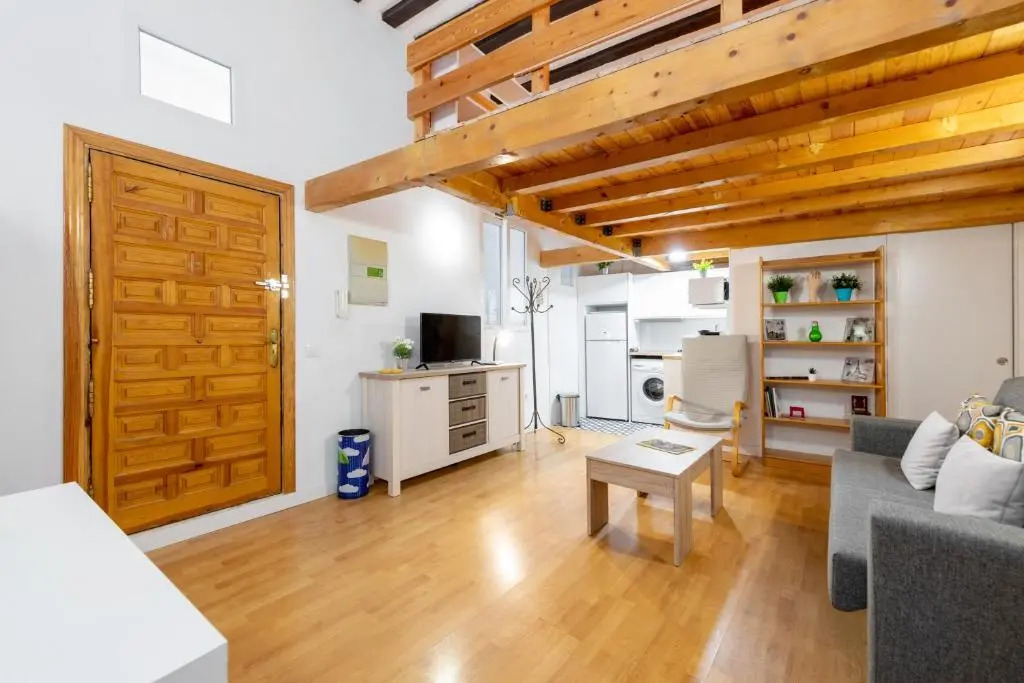 Duplex Lavapies 1BD