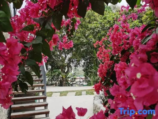 Taishan Yuhaixin homestay