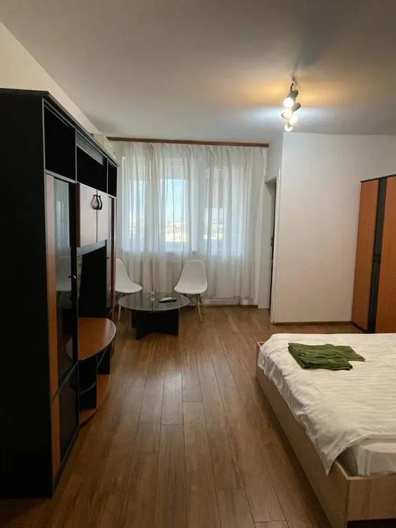 Bega Circumvalatiunii 1 Room Apartment - 3