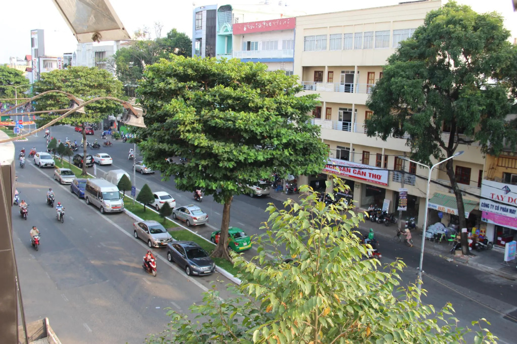 Phong Nha motels