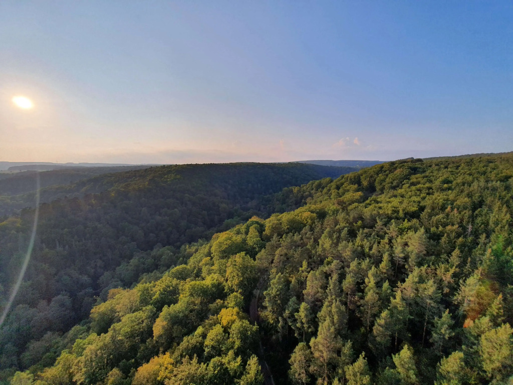 Best Western Plus BierKulturHotel Schwanen