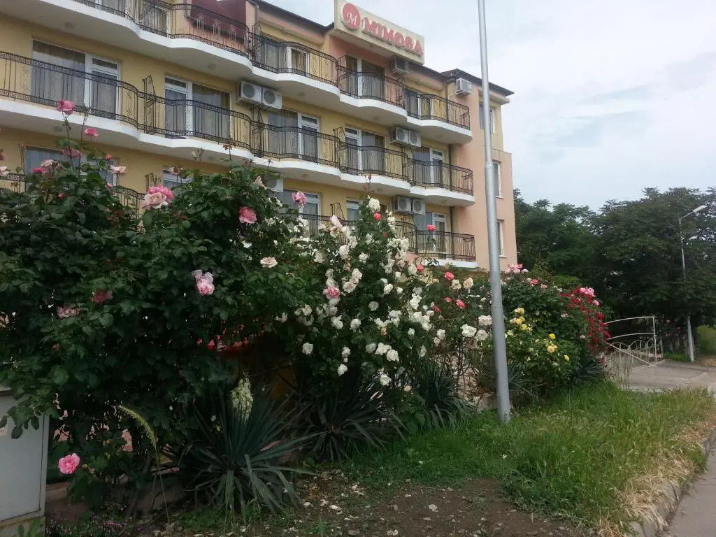 Family Hotel Mimosa