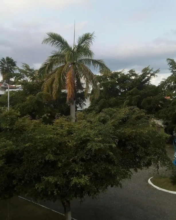 Sea Shell Palms, Ocho Rios