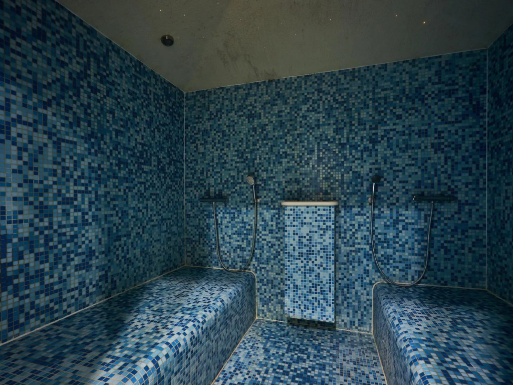 Apartment in Residence & Spa With Common Pool and Sauna, Houlgate