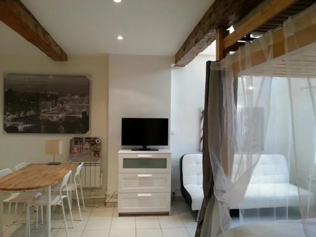 Loge du Vieux Lyon Chambre dhôtes