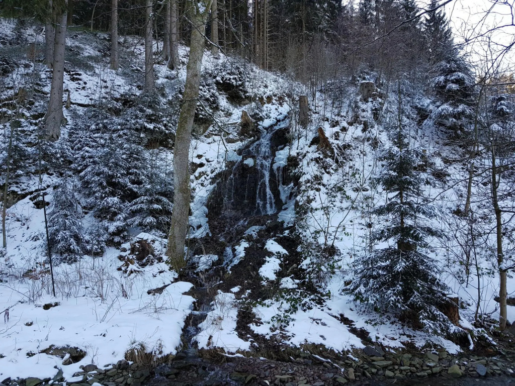Alpine Stay in Wildemann