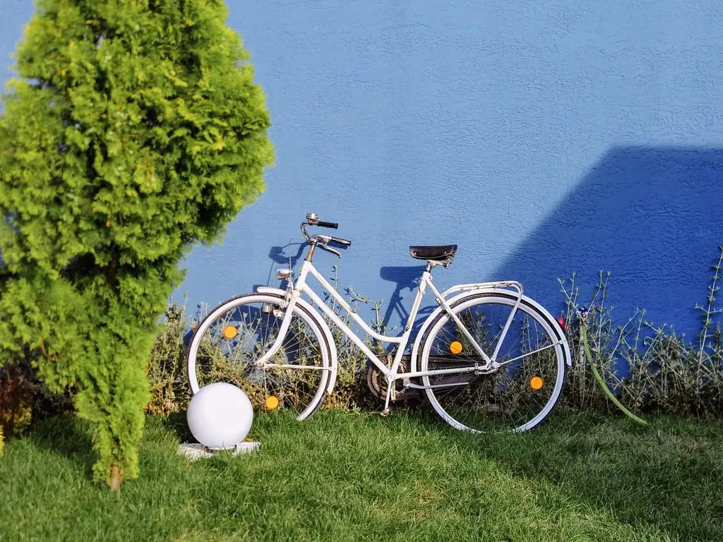Minimalist Sapanca