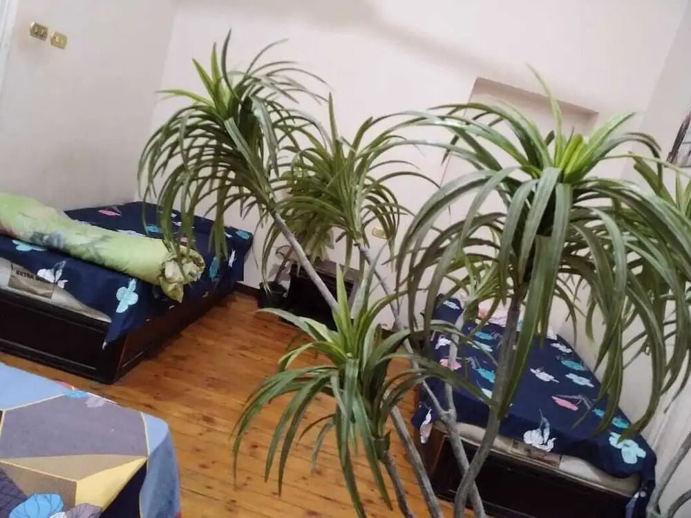 Grand Safari Hostel