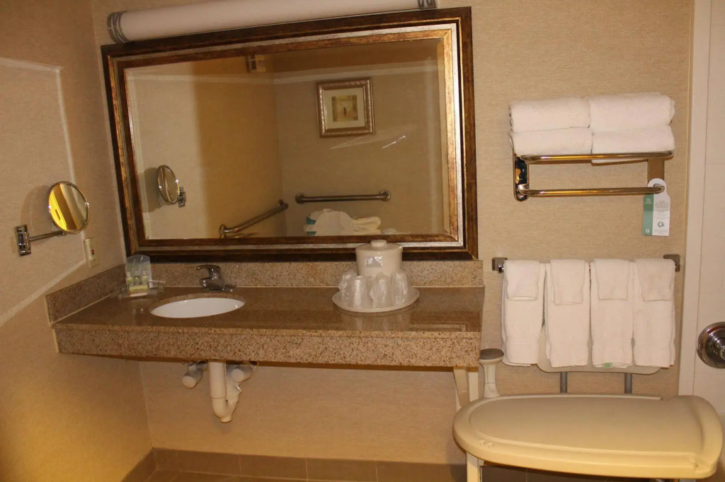 Holiday Inn - Memphis Downtown - Beale St. by IHG