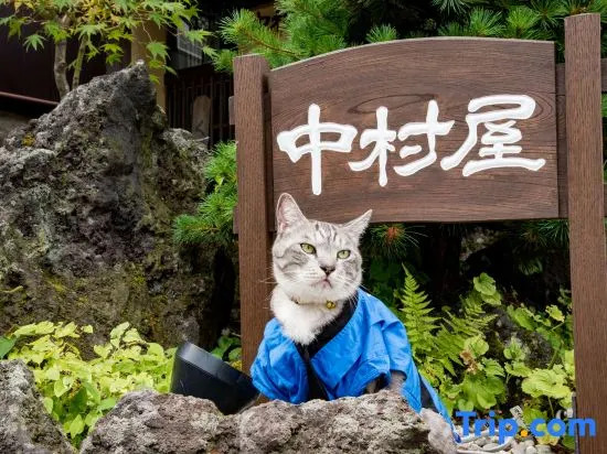 Kusatsu Onsen Nakamuraya Ryokan (Gunma)