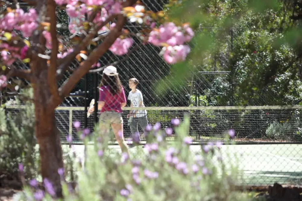 Wimbeldon
