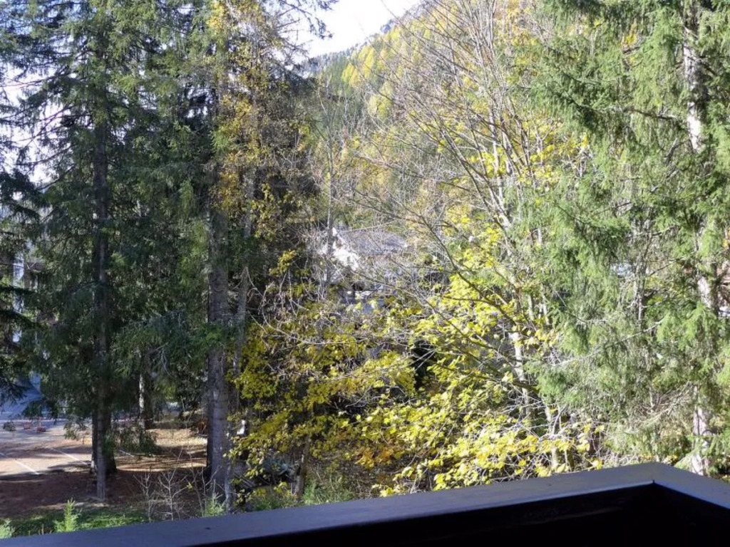 Villa Grand Roc Argentière 31066
