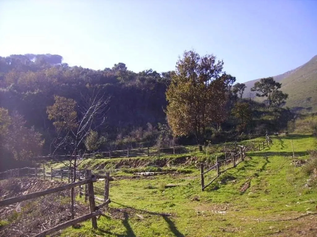 Azienda Agricola 25 Ponti