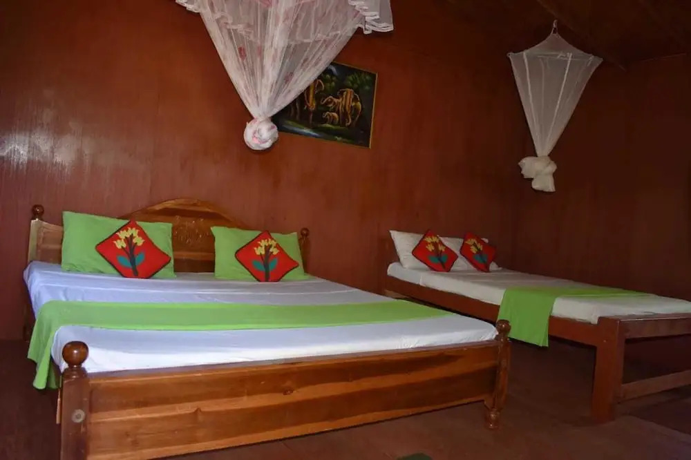 Tree house sigiri queens rest