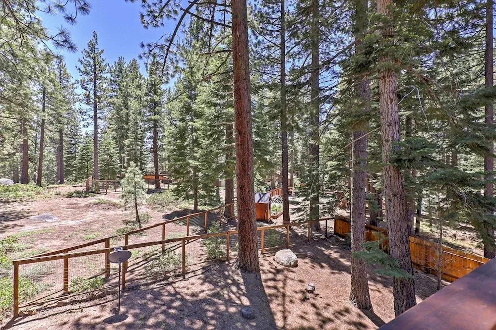 Close to Slopes: Forest-view Gem in Lake Tahoe