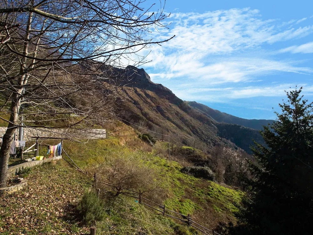 Cosy Holiday Home in Metato With Swimming Pool