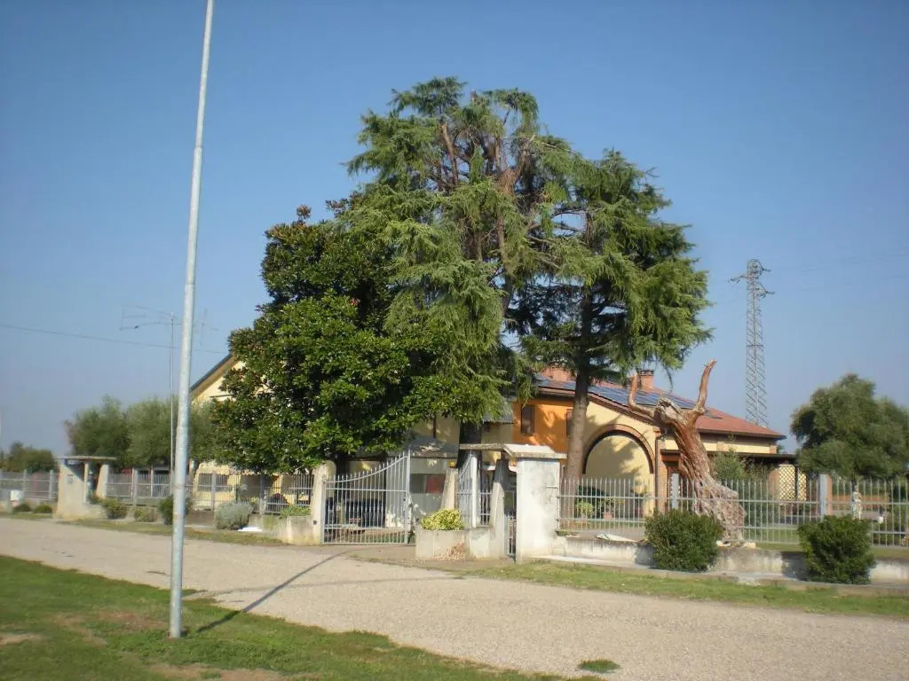 Camere Solidea