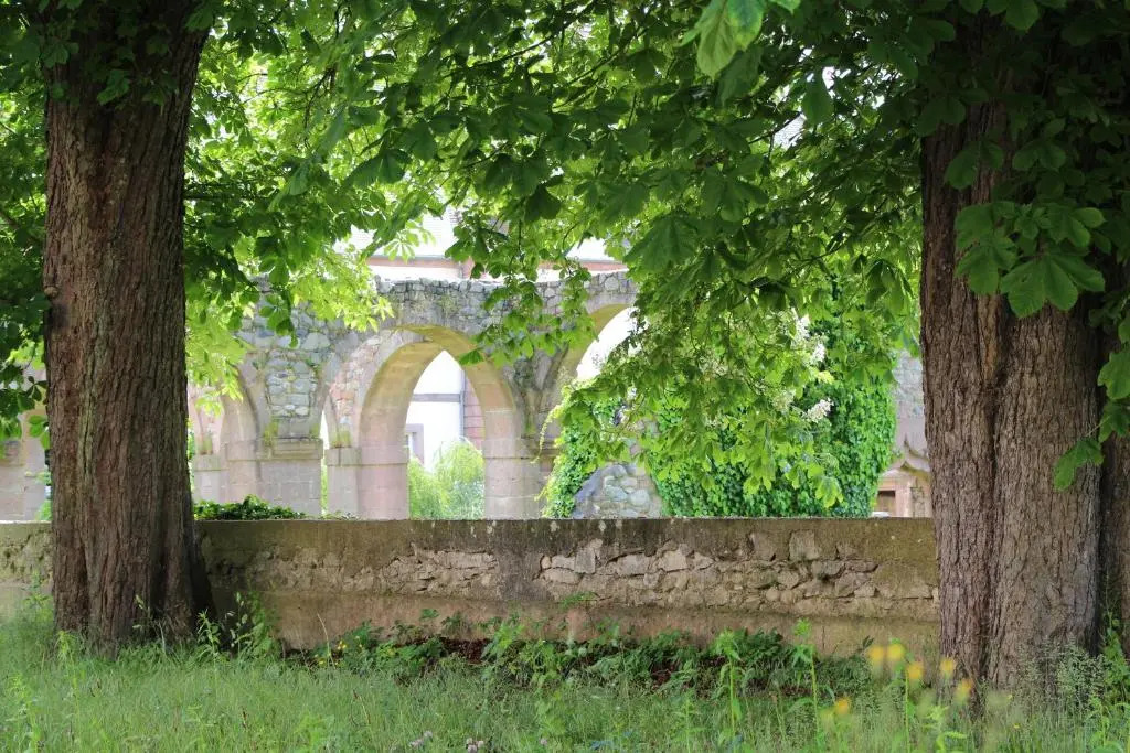 Hôtel Restaurant La Cigogne