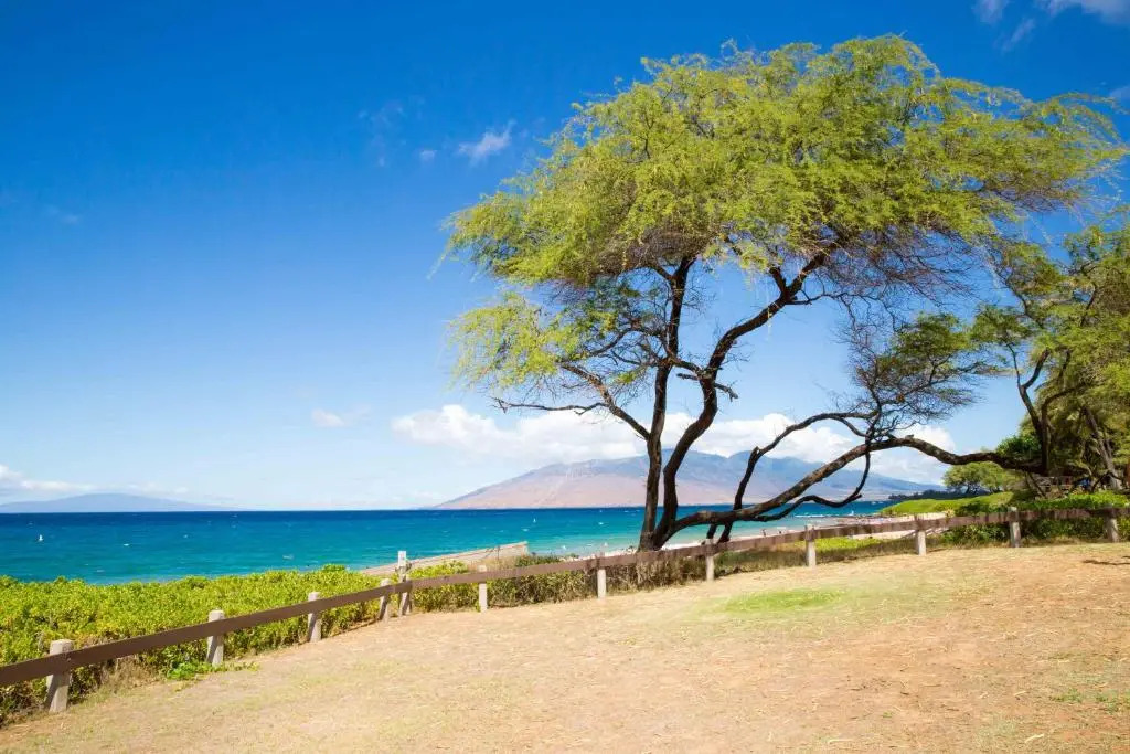 Hale Kamaole 142