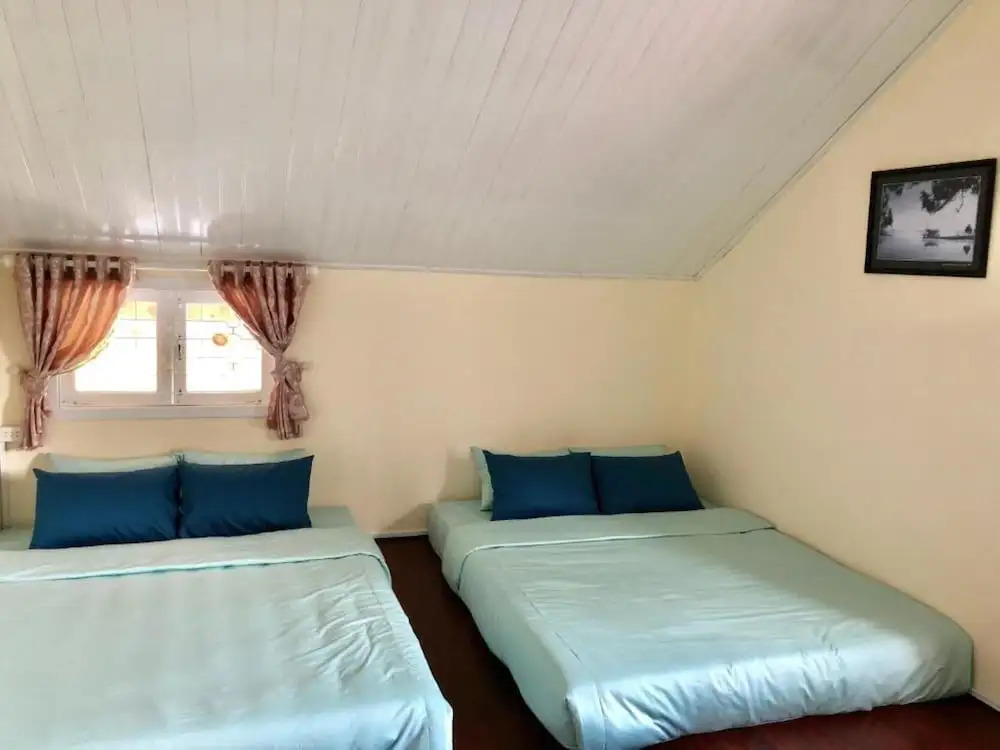 Pine Tree House Da Lat