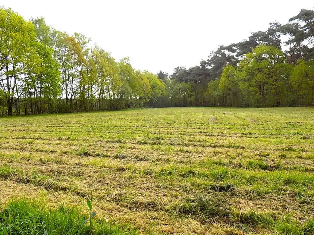 Verblijfpark De Brem