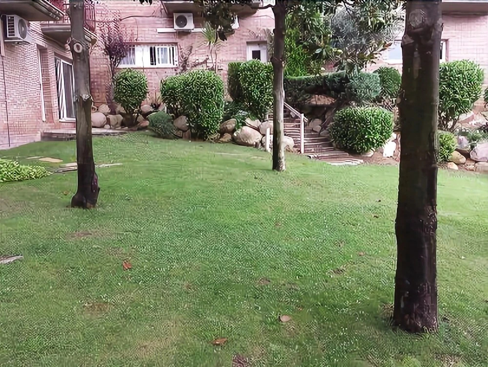 Calonge Apartment