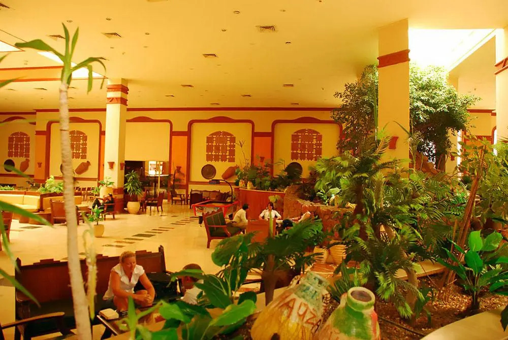 Hauza Mandarin