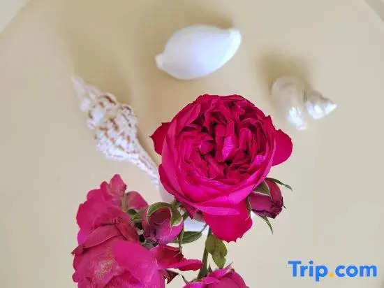Wanning Riyue Bay Yiye Xiangcun Vacation Apartment