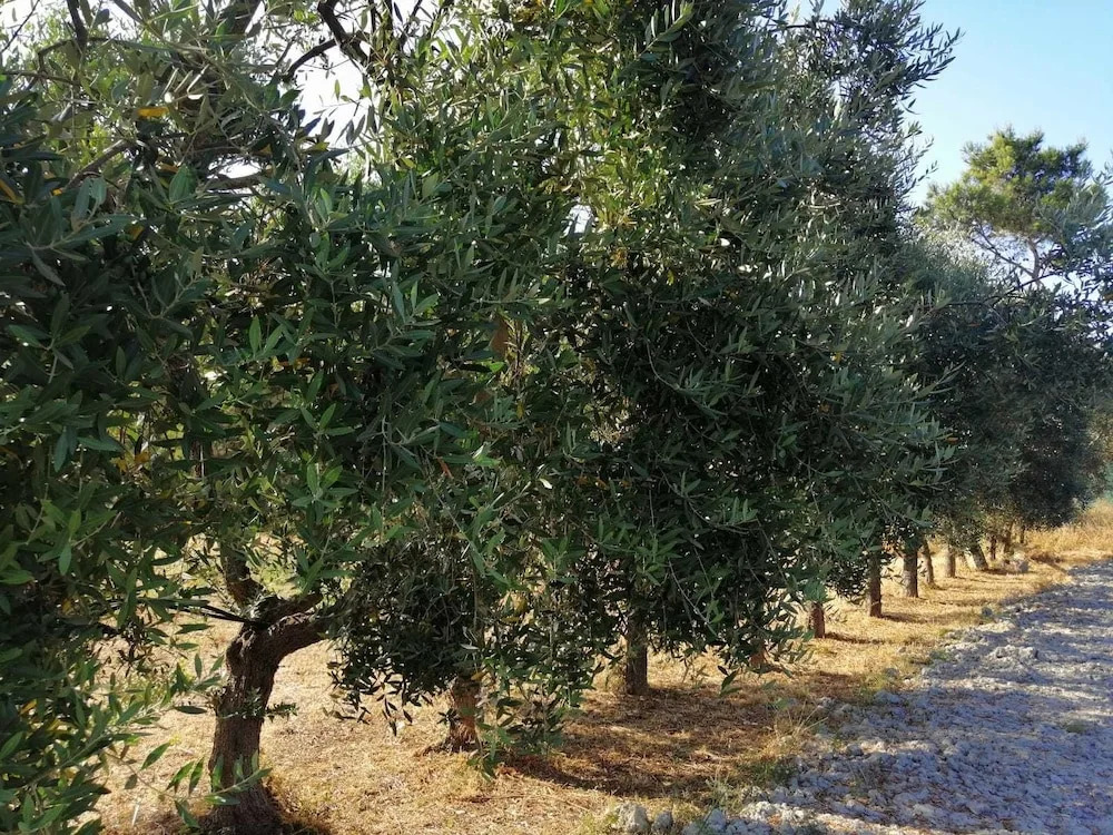 Relais Villa Gandoli