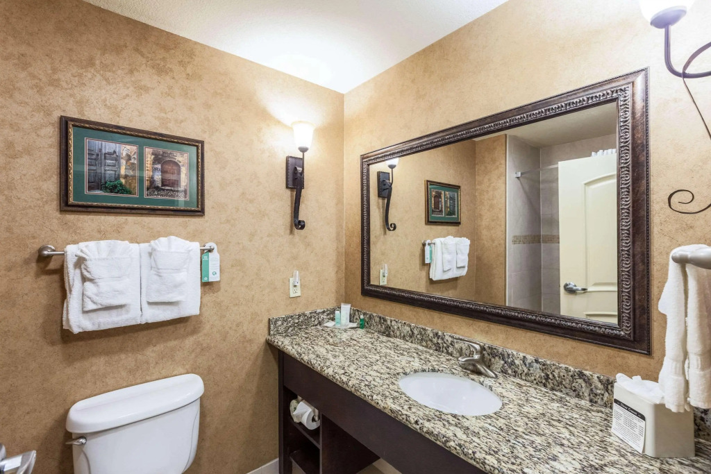 Comfort Suites Alamo-River walk