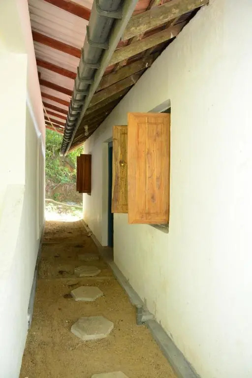 Jungle house
