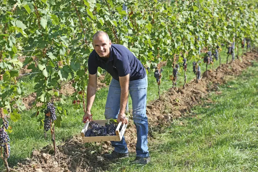 Agriturismo La Rocca