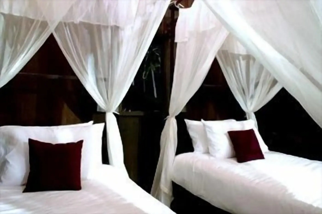 Terrapuri Heritage Resort, Penarik