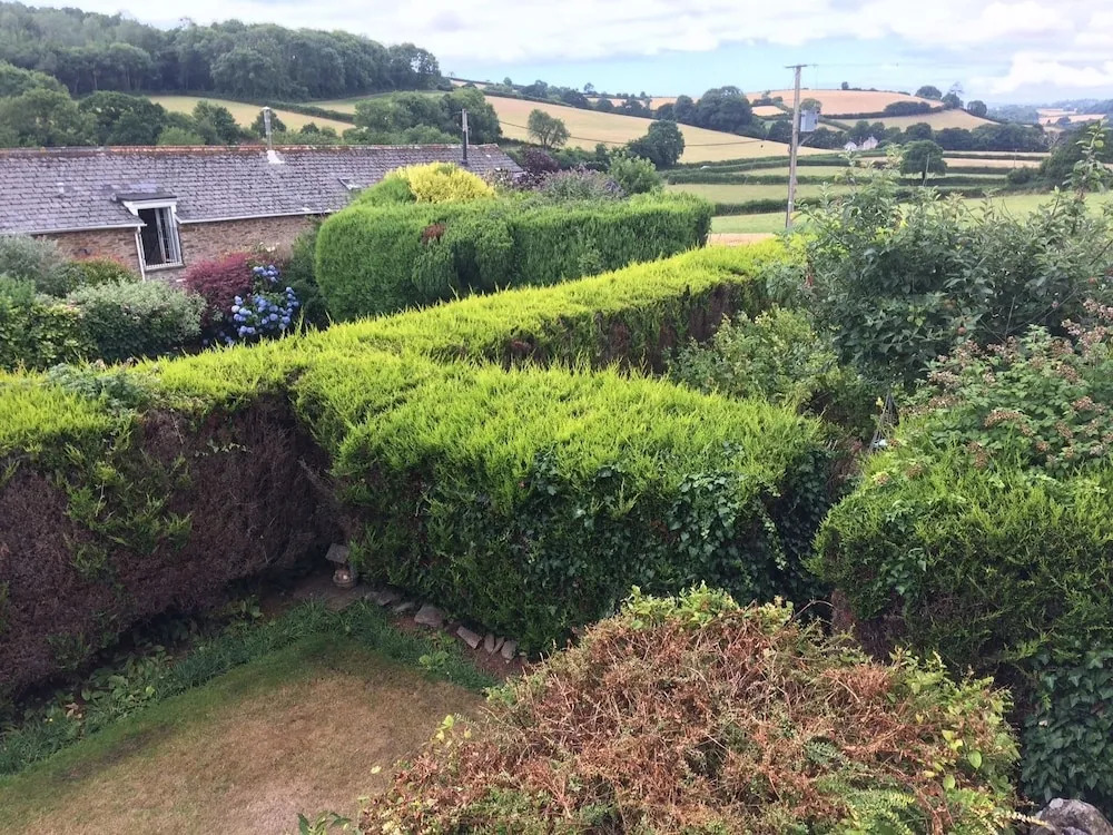 The Grange Bed And Breakfast