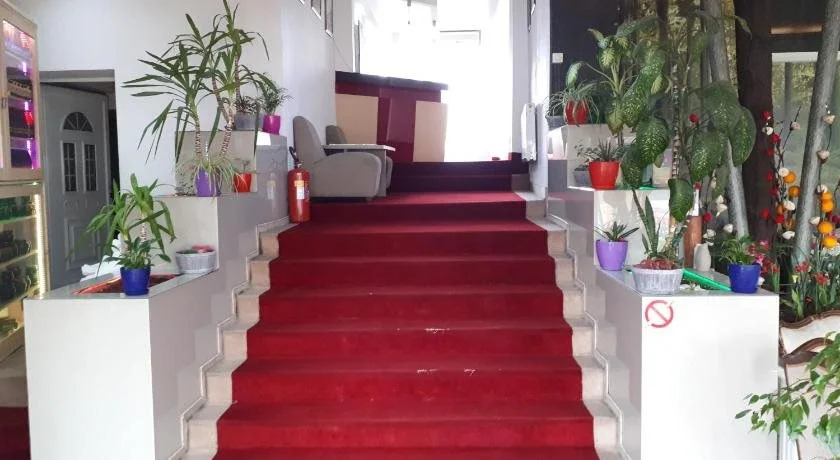 Hotel Alem