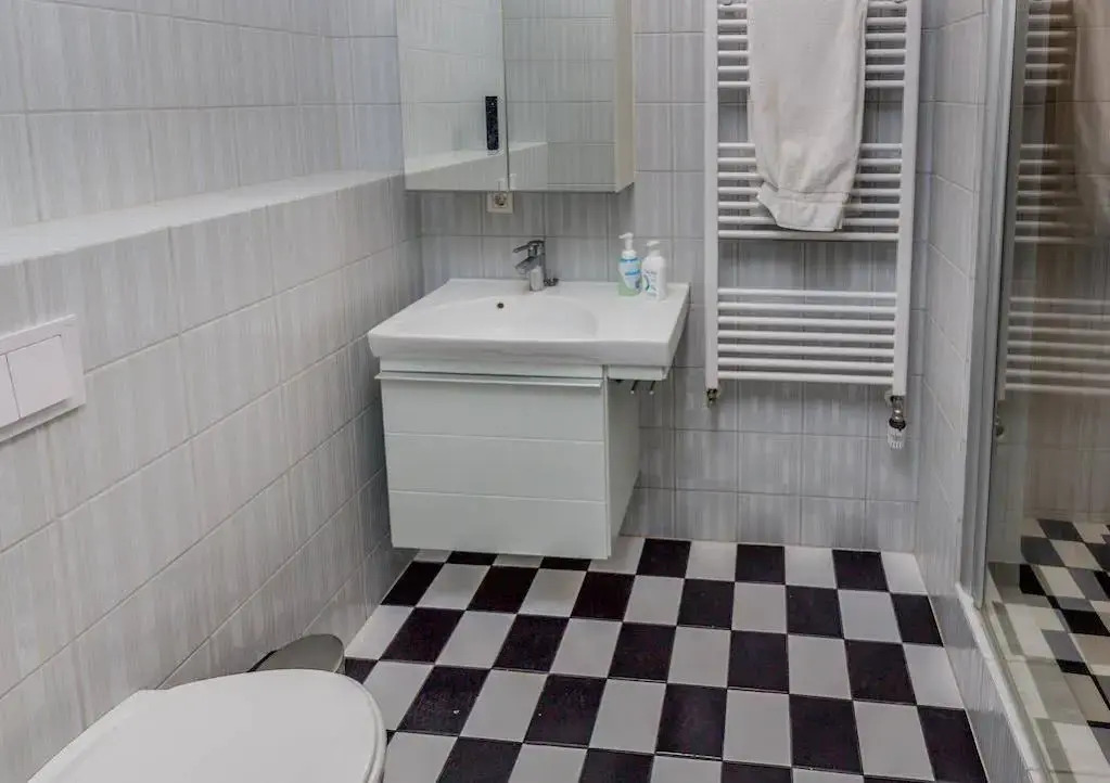 Hverfisgata Apartment
