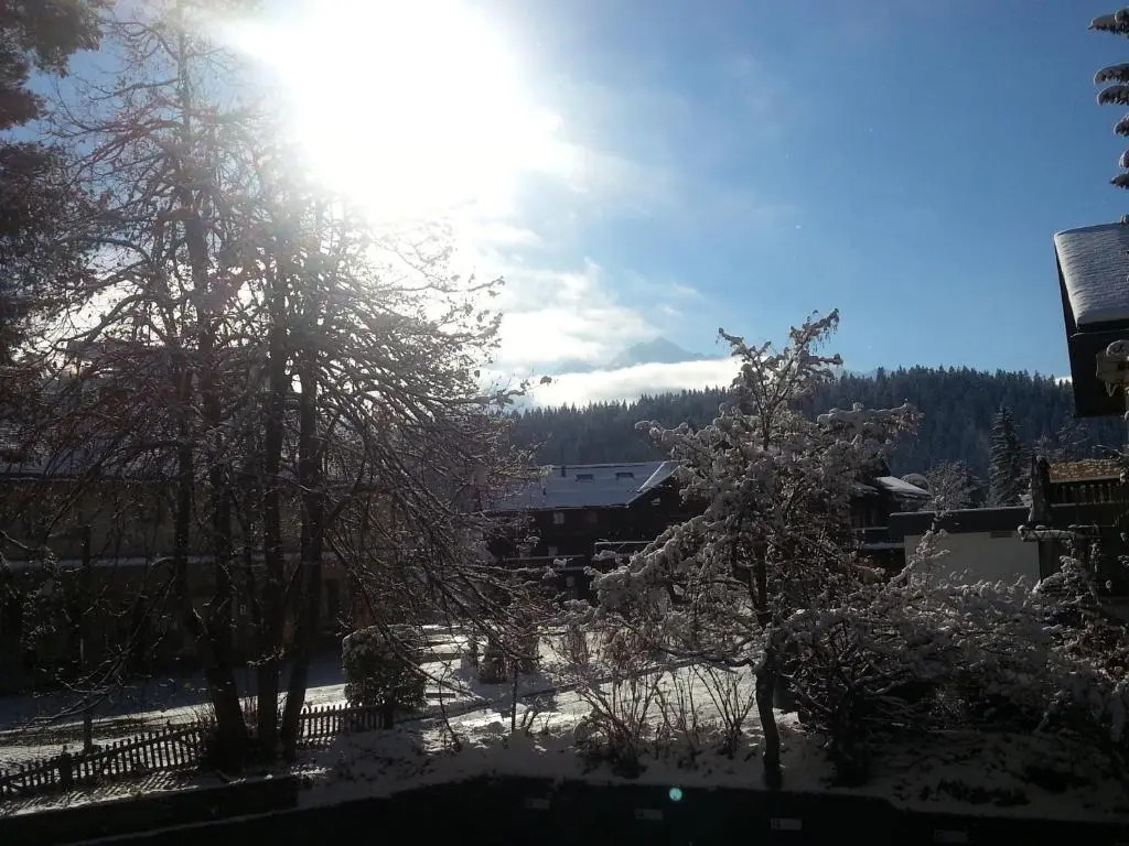 Flims113