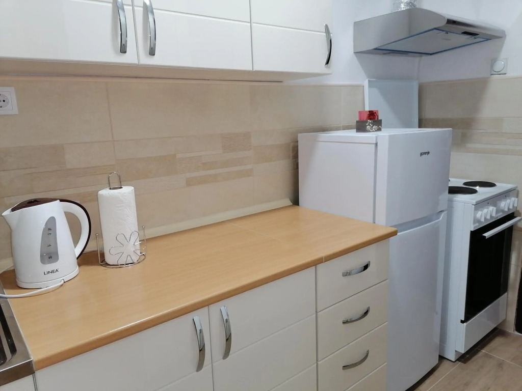 Apartman Radulović
