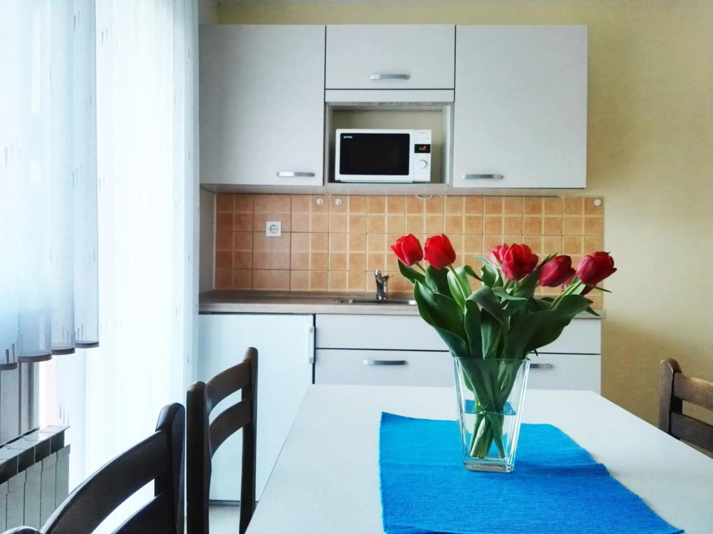 Apartments Silič