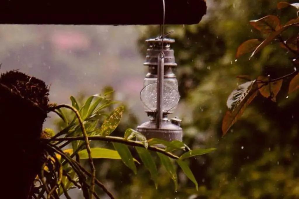 Sapa Jungle Homestay
