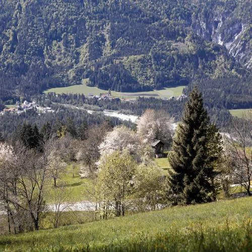 Schadnbauer