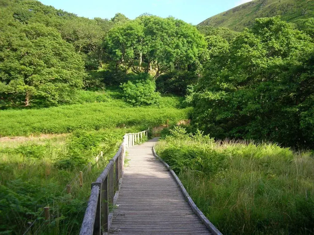 The Dolgoch