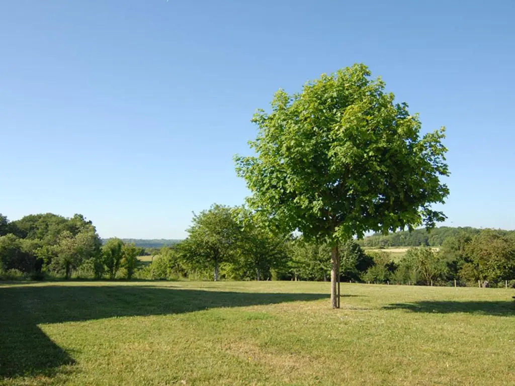 Maison de caractère avec jardin, climatisation et vélos près dAmboise - FR-1-381-357