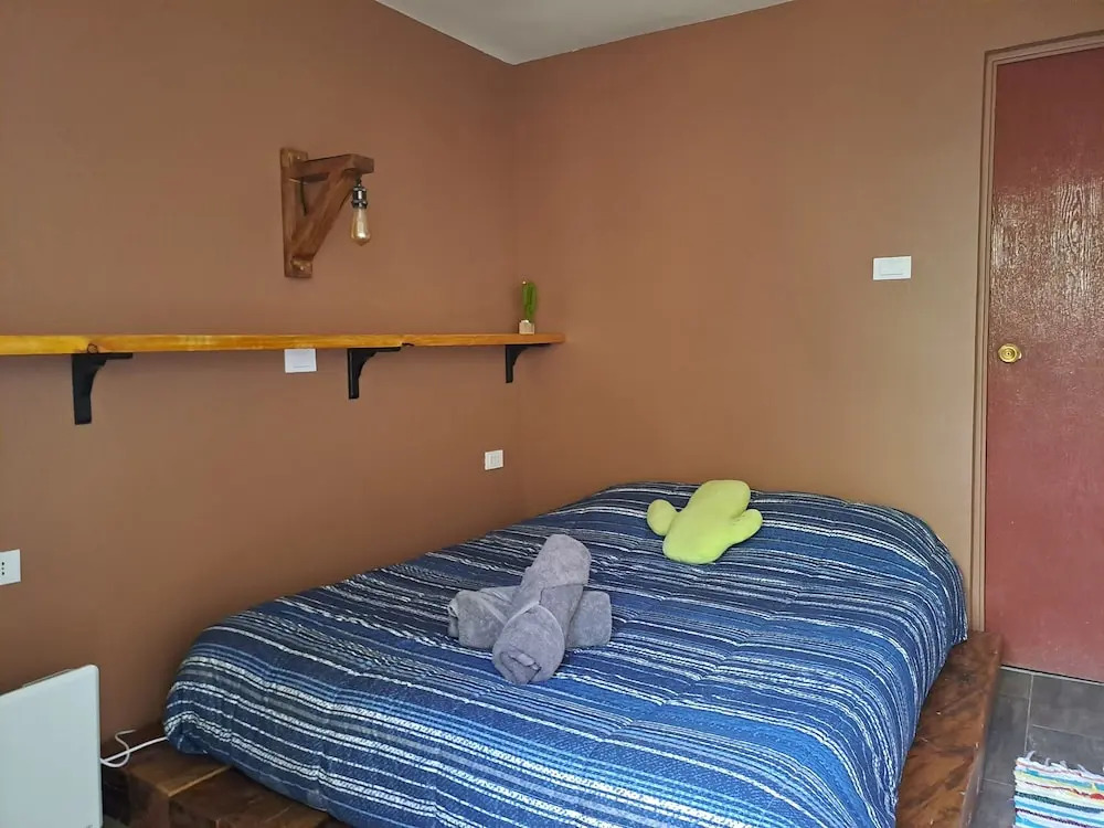 Vientos - La Yareta