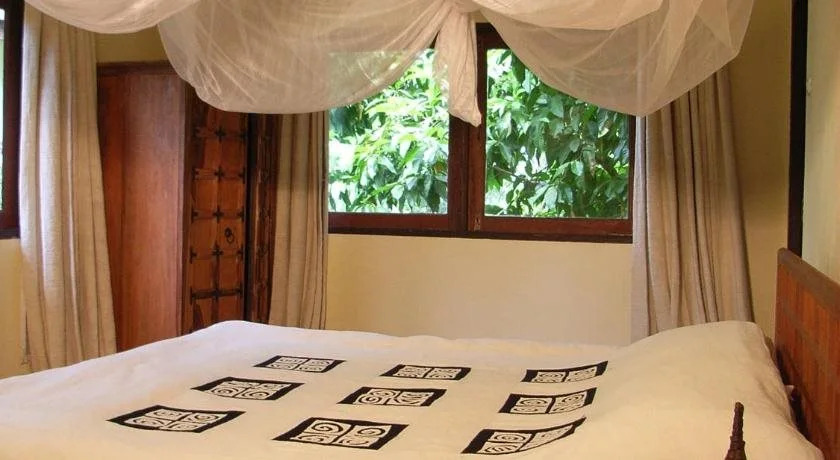 Gecko Villa