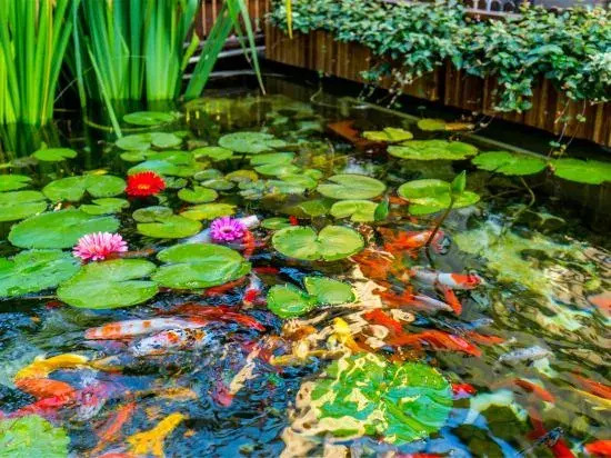WuXi Qingluoju Homestay