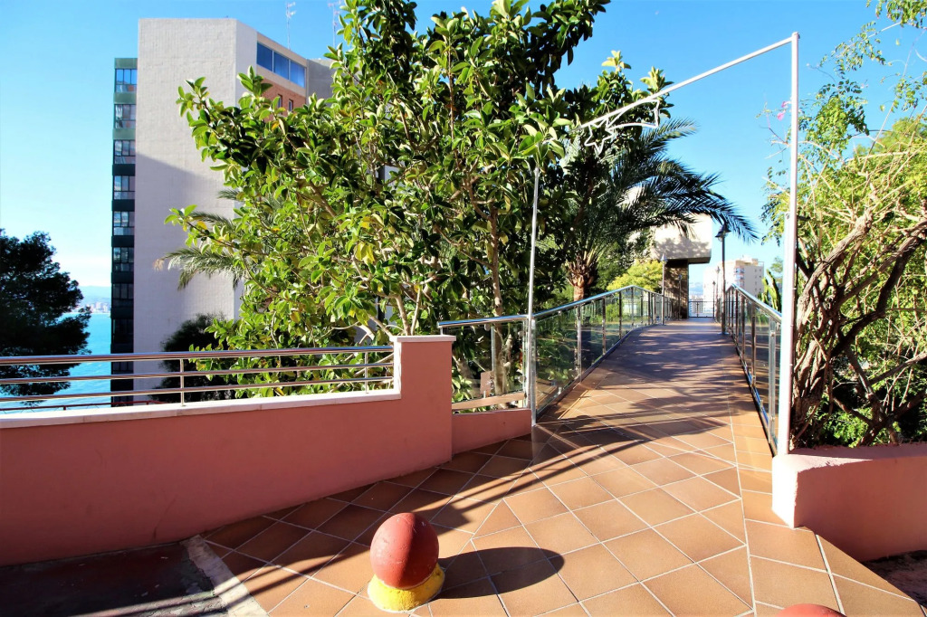 Apartamento Don Miguel 3