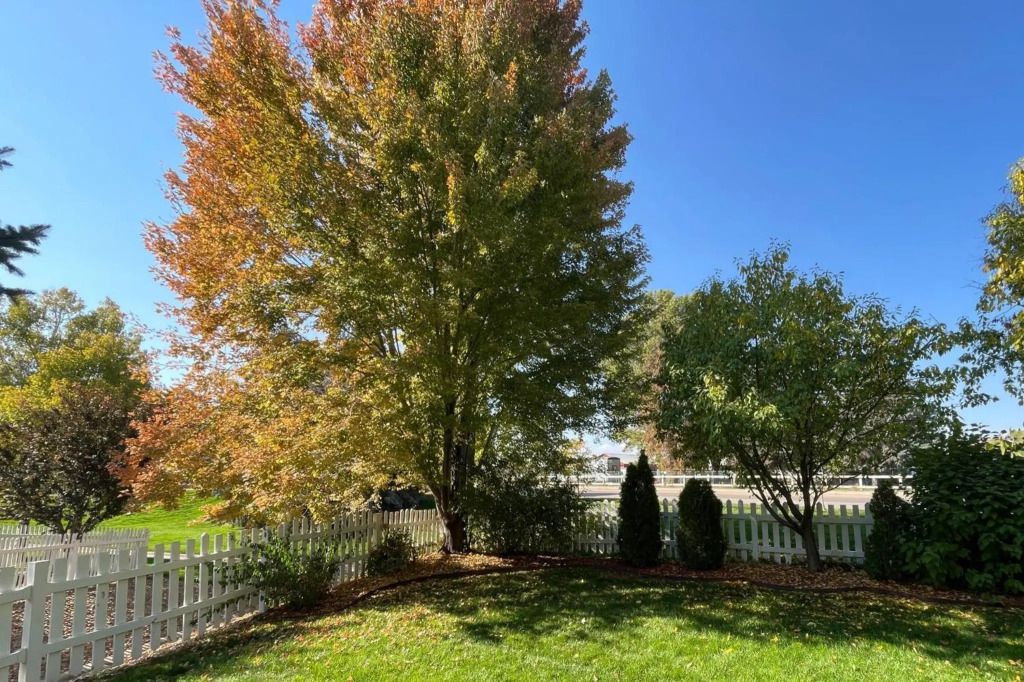 Fabulous Family-friendly Retreat by Windsor Lake