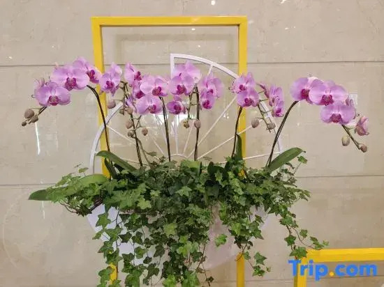 Xicheng Garden Hotel